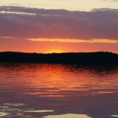 Алексей Кадильников, 09.05.1966, Санкт-Петербург