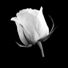 Farida U-A, 18.04, Актау