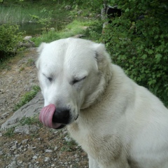 Егор Киселев, 06.05, Краснокаменка