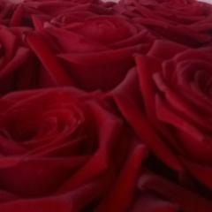 Мария Трещёва, 29.12, Карпинск