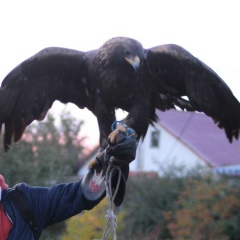 Илья Истомин, 19.01.1985