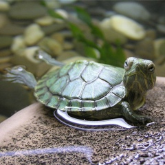 Артём Полетаев, 09.03.1985, Пенза