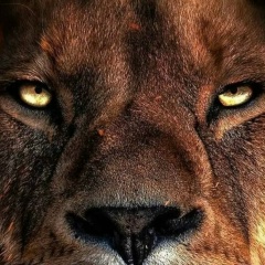 Александр Моисеенко, 02.08.1988