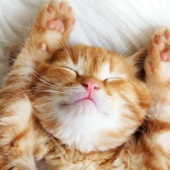 Андрей Андрюшечка, 08.12, Санкт-Петербург