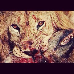 Паша Намаев, 29.04.1997