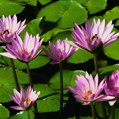 Егор Дьяченко, 02.08, Казань