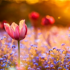 Мария Барановская, 23.04.1989, Москва