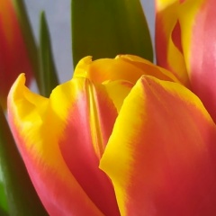 Оксаночка Килина, 05.05, Сосновый Бор