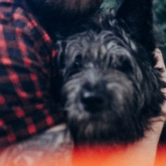 Максим Жавнер, 23.03, Москва