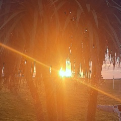 Liberty Return, 10.03, Ялта