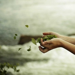 Галина Джалаева, 28.11.1986