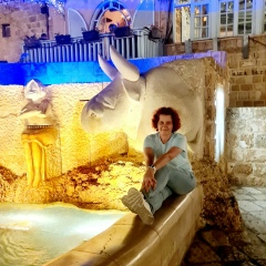 Елена Шеко, Санкт-Петербург