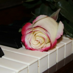 Aina Vakulenko, 10.09