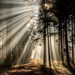 Алексей Лучкин, 11.06.1986, Москва