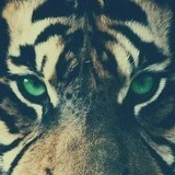 Рустам Тимган, 06.12, Пермь