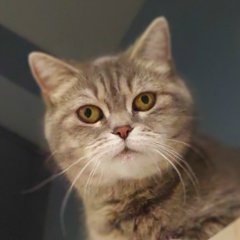 Кира Квятович, 13.02.1988, Орёл