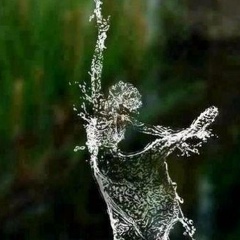 Алина Манкеева, 09.05.1995, Алматы