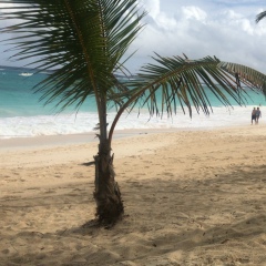 Анна Фролова, 06.12, Москва