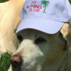 Марк Каверин, 19.01, Санкт-Петербург