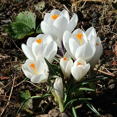 Екатерина Цыганова, 04.05, Рыбинск