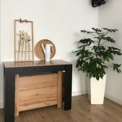 Стол Трансформер, 25.02.1985, Кызылорда