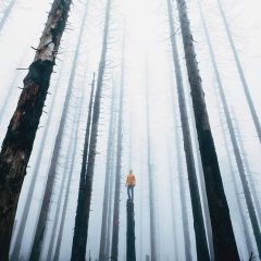 Константин Боровиченко, 28.08, Днепр (Днепропетровск)