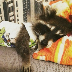 Андрей Наумкин, 23.02, Москва