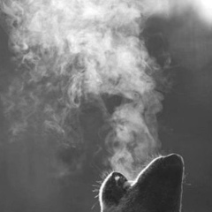 Рауан Асылжанов, Алматы