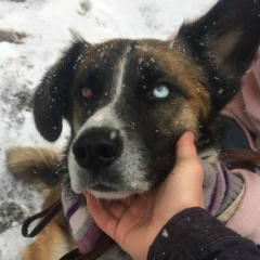 Макс Долгушев, 23.01, Железногорск