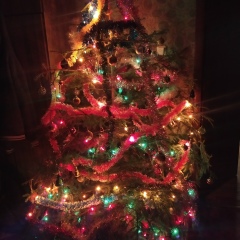 Сержио Матто, 29.12, Санкт-Петербург