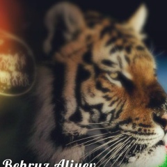 Георгий Соболев, 10.01.1987, Кюрдамир