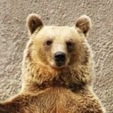 Александр Романов, 27.05, Харьков