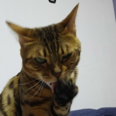 Наталья Knopochka, 04.08, Санкт-Петербург