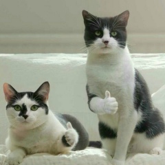 Роман Кузьмичев, 26.05, Херсонский