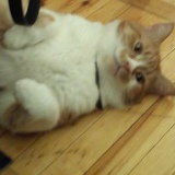 Vitya Punulo, 26.04, Тернополь