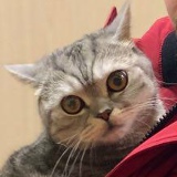 Пётр Грефенштейн, 14.07, Екатеринбург