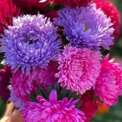 Екатерина Пашкова, Салехард