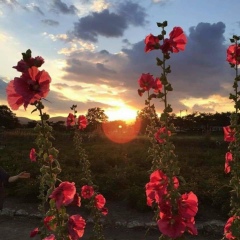 Акжибек Телегенова, 03.05.1996, Жанаозен