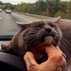 Сергей Реутов, Москва