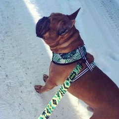 Диана Логинова, 23.04, Санкт-Петербург