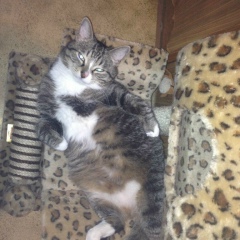 Наталья Михалап, 08.06.1986, Москва