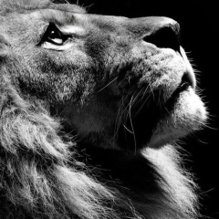 Сергей Lampa, 13.08, Харьков