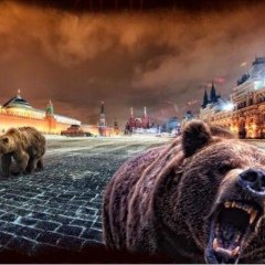 Роман Ведешкин, 16.10.1988, Москва