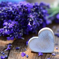 Жадыра Қуанышбекқызы, 13.02.1997, Достык