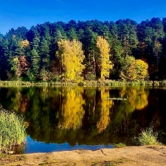 Егор Вахрушев, 03.05, Москва