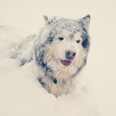 Семён Иванцов, 12.02.1993, Москва