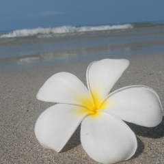 Анна Сумина, 21.01.1981, Екатеринбург