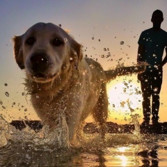 Дмитрий Ветров