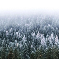 Артур Никитюк, 01.04.1901, Arkansas City