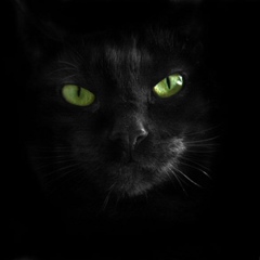 Василий Скабелкин, 18.07.1989, Балашиха